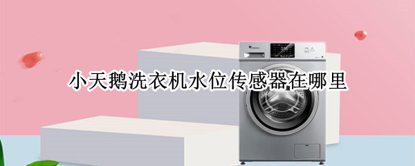 小天鹅洗衣机水位传感器在哪里（小天鹅洗衣机水位传感器在哪里波轮）