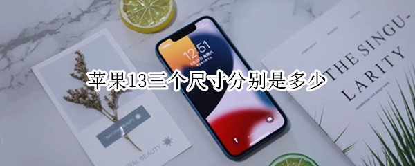 苹果13三个尺寸分别是多少 苹果14三个尺寸分别是多少