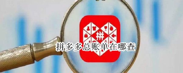拼多多总账单在哪查（拼多多总账单在哪查2021）