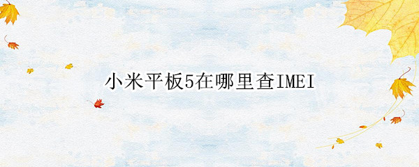 小米平板5在哪里查IMEI 小米平板5在哪里查真伪