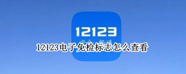 12123电子免检标志怎么查看 12123电子免检标志怎么查看不到