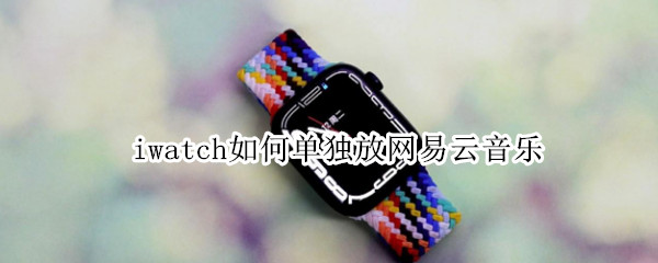 iwatch如何单独放网易云音乐（iwatch怎么网易云放音乐）
