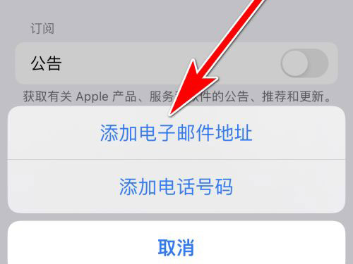 苹果注册id电子邮件怎么填