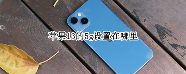 苹果13的5g设置在哪里（苹果13 5g设置在哪里）
