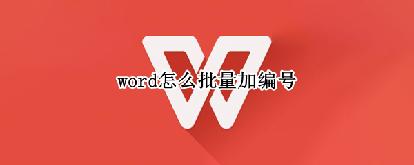 word怎么批量加编号 word怎么批量加编号和序号
