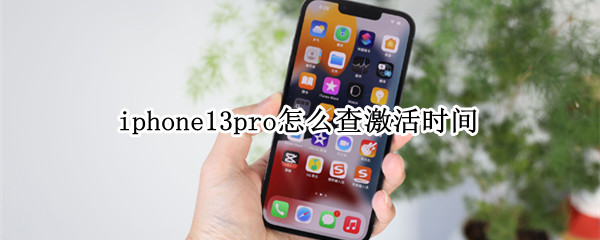 iphone13pro怎么查激活时间 iphone13pro激活时间查询