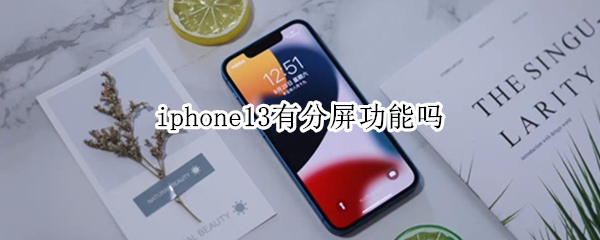 iphone13有分屏功能吗（iPhone12有分屏功能吗）