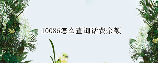 10086怎么查询话费余额（10086怎么查询话费余额明细）