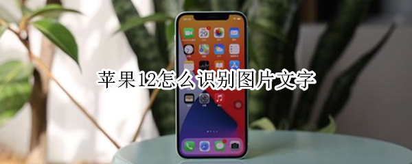 苹果12怎么识别图片文字 苹果12怎么识别图片文字并编辑