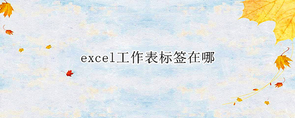 excel工作表标签在哪（excel表格工作表标签在哪）