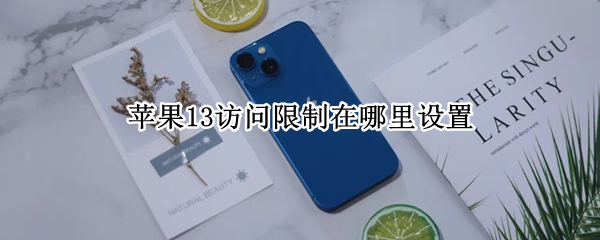 苹果13访问限制在哪里设置（苹果13访问限制在哪里设置呢）