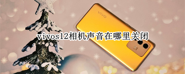 vivos12相机声音在哪里关闭（oppo 11相机拍照的声音在哪里关掉）