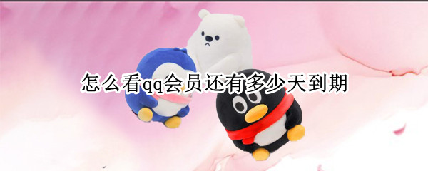 怎么看qq会员还有多少天到期 怎么看qq会员还有多久到期