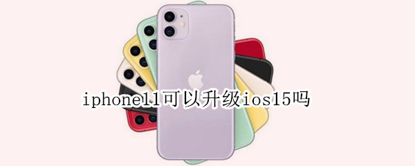 iphone11可以升级ios15吗（iphone11要升级到ios15）