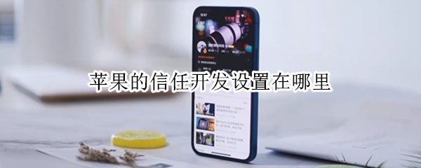 苹果的信任开发设置在哪里 苹果的信任开发设置在哪里打开
