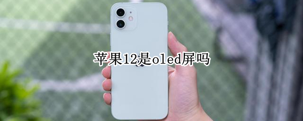 苹果12是oled屏吗（苹果12的屏幕是oled）