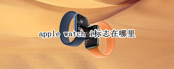 apple watch i标志在哪里