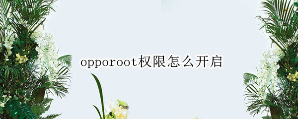 opporoot权限怎么开启 opporoot权限怎么开启oppo,用电脑