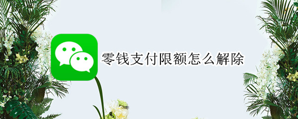 零钱支付限额怎么解除 零钱支付限额怎么解除不了