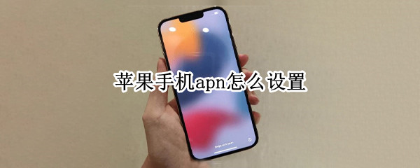 苹果手机apn怎么设置（苹果手机apn怎么设置网速快）