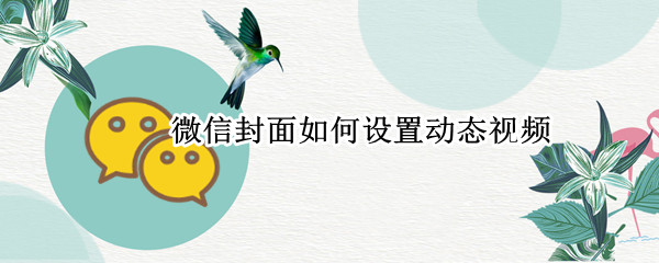 微信封面如何设置动态视频（苹果手机微信封面如何设置动态视频）