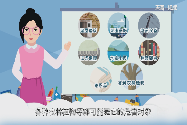 白蚁的危害