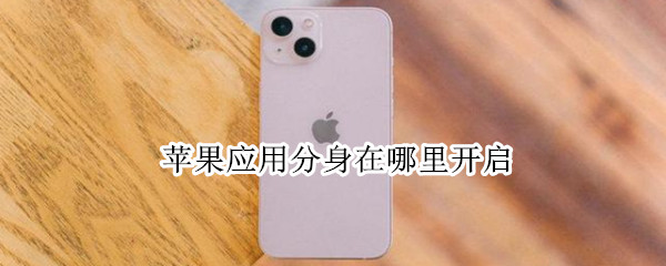 苹果应用分身在哪里开启（苹果应用分身在哪里开启ios14）
