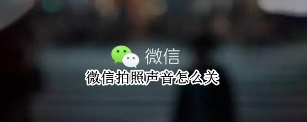 微信拍照声音怎么关 微信拍照声音怎么关苹果手机13