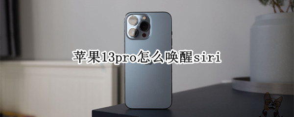 苹果13pro怎么唤醒siri（苹果13怎么唤醒屏幕）