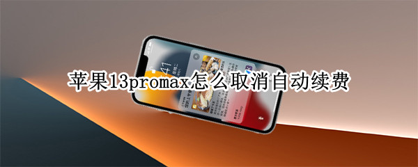 苹果13promax怎么取消自动续费（苹果11pro max如何取消自动续费）
