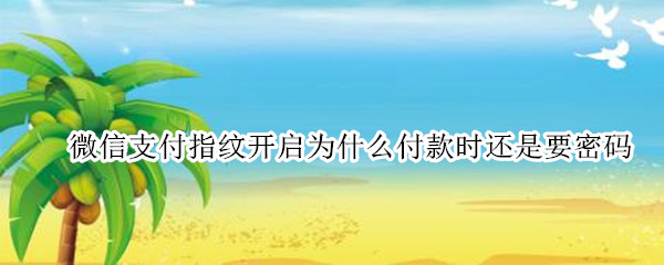 微信支付指纹开启为什么付款时还是要密码