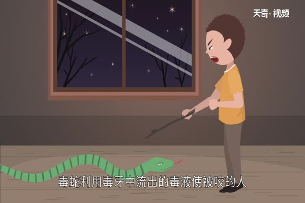 五毒是哪五毒 五毒之王是谁