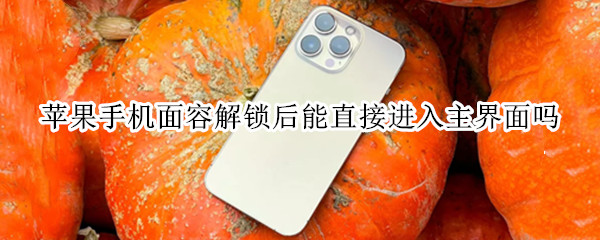 苹果手机面容解锁后能直接进入主界面吗