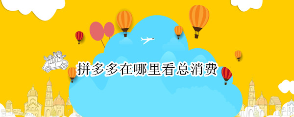 拼多多在哪里看总消费 拼多多在哪里看总消费苹果