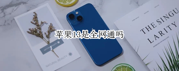 苹果13是全网通吗