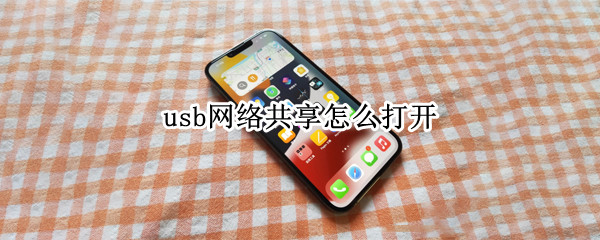 usb网络共享怎么打开 苹果手机usb网络共享怎么打开