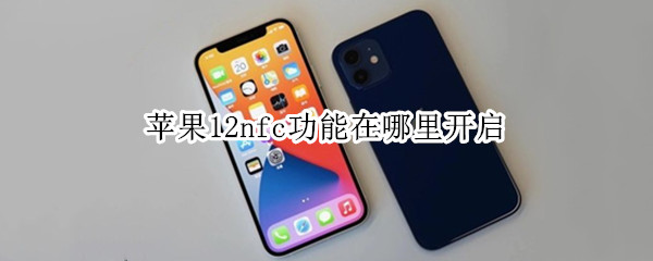 苹果12nfc功能在哪里开启 iphone12nfc功能怎么开启