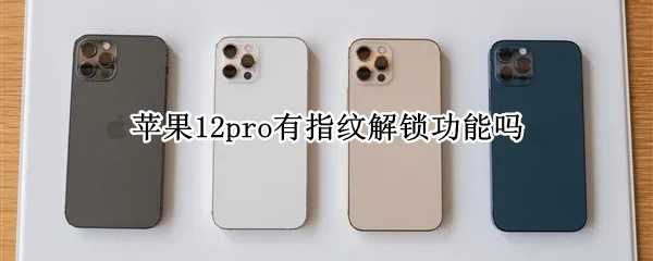 苹果12pro有指纹解锁功能吗（苹果12pro可以指纹解锁吗）