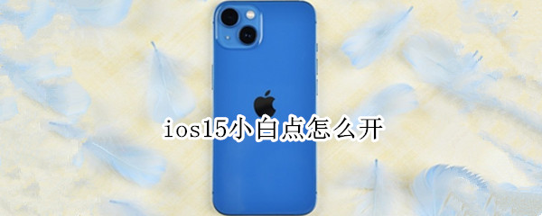 ios15小白点怎么开 苹果ios15小白点在哪里设置