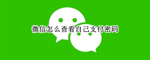 微信怎么查看自己支付密码 微信怎么查看支付密码?