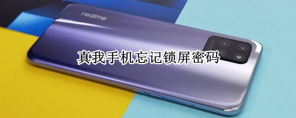 真我手机忘记锁屏密码怎么办 真我手机忘记锁屏密码怎么恢复出厂设置