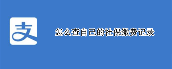 怎么查自己的社保缴费记录（微信怎么查自己的社保缴费记录）