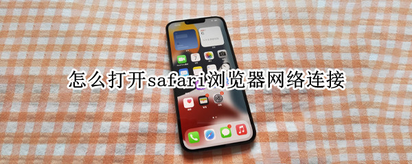 怎么打开safari浏览器网络连接（怎么打开safari浏览器网络连接设置）