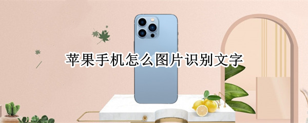 苹果手机怎么图片识别文字 苹果手机图片识别文字功能