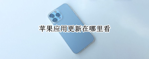苹果应用更新在哪里看（苹果应用更新在哪里看到）