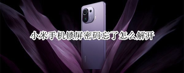 小米手机锁屏密码忘了怎么解开（小米手机锁屏密码忘了怎么解开不清除数据）