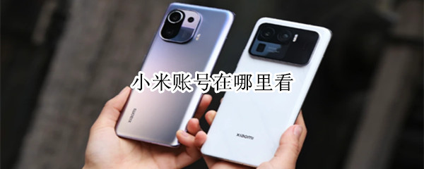 小米账号在哪里看（小米账号在哪里看到）