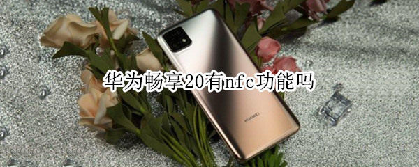 华为畅享20有nfc功能吗 华为畅享20plus有没有nfc功能