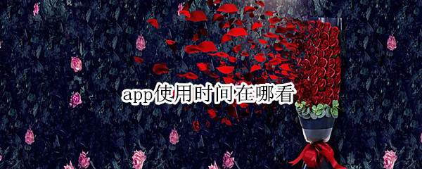 app使用时间在哪看（华为平板app使用时间在哪看）