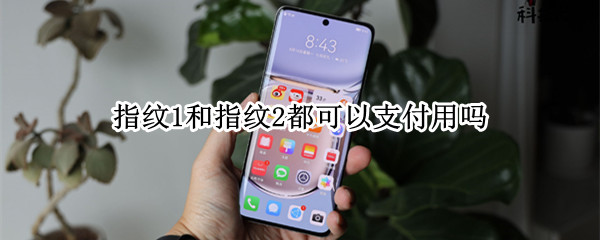指纹1和指纹2都可以支付用吗 指纹1和指纹2都可以支付用吗怎么设置
